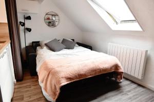 Appartements Magnifique studio : photos des chambres