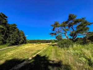 Hermans Hof - Ruhe & stilvolle Ferienwohnungen auf Usedom