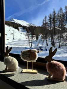 la finestra sulla montagna