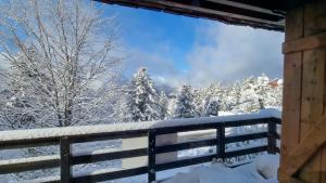 Chalets Chalet des Edelweiss, Guzet : photos des chambres
