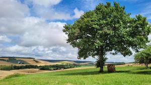 Gîtes en Pays dOthe