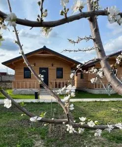 Guest House Dimal Berat - Savër