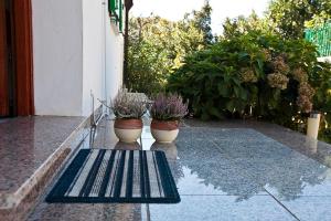 Apartments Villa Iva