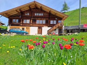 Apartment Chalet Grittelihus, between Interlaken - Gstaad