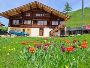 Chalet Grittelihus, large bathroom, Lots of living space, nahe Interlaken - Erlenbach im Simmental