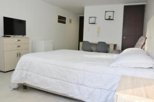 Atriz apartaestudios, 204 , Norte de la ciudad , cerca Av de los estudiantes