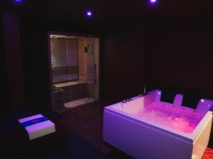 Appartements PLAN COEUR Romantic Experience & Spa : photos des chambres