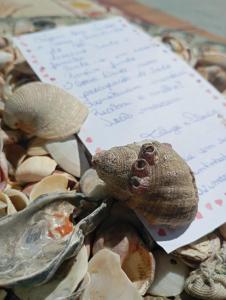 Cantinho do Sol Balneário Picarras