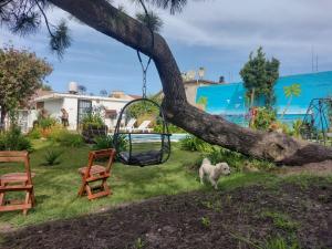 Alquiler Temporario PARAÍSO CHAPADMALAL
