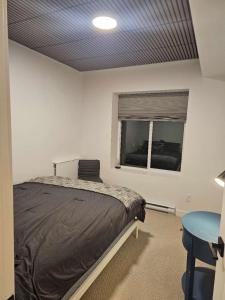 Brand new suite in langley close to everything