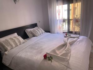 Magnifique Appartement spacieux confort propre familial 2 chambres salon et salle a manger a 20mn a pied de place jemaa el fina 4 piscines dans espace de Golf a 12 mn en voitures l entree est gratuit pour la clientele ouvert entre 10h et 20h