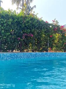 Zanzibar - Villa Sumo apartment - Kiwengwa