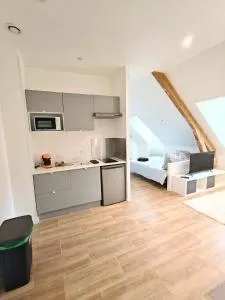 Studio tout confort Châtel Guyon - 沃勒维克