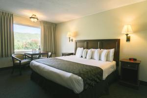 Queen Room - Non-Smoking room in Town & Country Inn & Resort