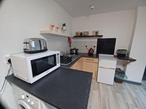 Cosy Garden Flat near Bay & City Centre - Fast Wifi, 5 mins to centre