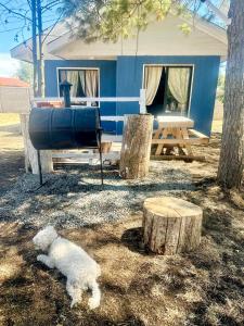 Cabaña rincón del salto