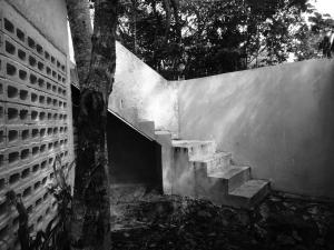 barefoot jungle studios