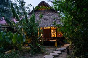 Ecolucerna Lodge Tambopata