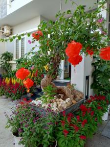 Trang Anh Hotel - Phan Thiết