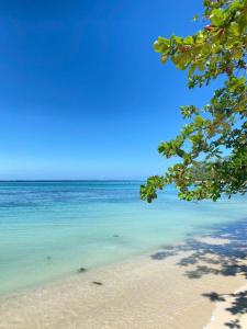 Cabinas Caribe Luna