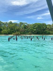 Cabinas Caribe Luna