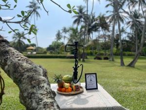 The Villa Bentota by KK Collection