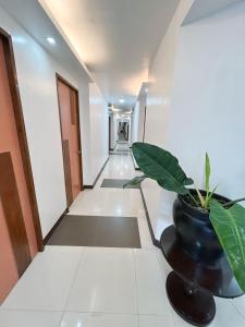 The New View by Ecotel - Cebu