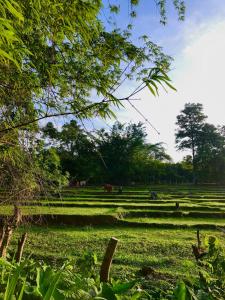 Pai casita resort,Inspiration Mud house -living room-AC- -workspace