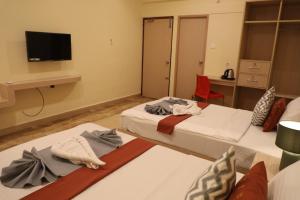 Hotel Green parrot