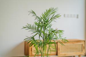 Summer Love Villa - 2BR in Kerobokan