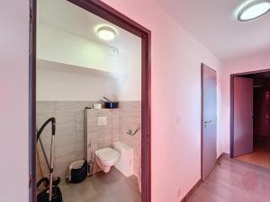 Appartements Bel F3 climatise avec parkings, terrasse et vue sur montagnes a 50m du centre et des thermes - FR-1-451-213 : photos des chambres