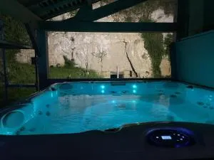 Gîte de charme en Touraine avec spa et jardin privé - FR-1-381-610 - 蒙索罗