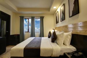 Saltstayz- Nehru Place & New Friends Colony