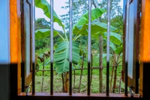 sanduni villa with flora & fauna