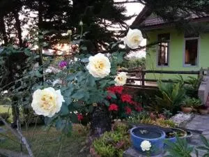 Villa Lek Noi 2 - Dan Sai