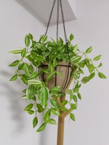 #203WZNET梅屋敷駅2分横浜羽田空港都心便利商店街1ldk広い