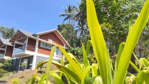 Monarda Resort