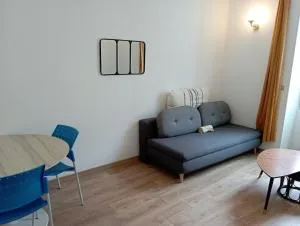 Appartement 2 pièces rénové - 卢瓦尔河畔圣塞巴斯蒂安