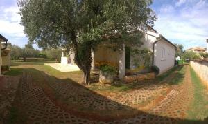 Apartment Free Parking Big Garden