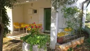 Apartment Free Parking Big Garden - Marana