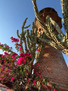 Casa Rodante Roca Azul