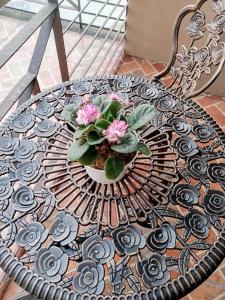 3 Pax Studio Foggy Cold Breeze,Condo in Gardenville Hotel