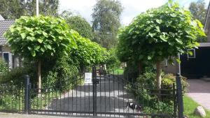 GUESTHOUSE vakantiehuis in een mooie tuin in het centrum van Zuidlaren!