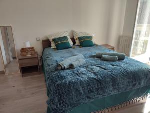 studio cosy la Dacquoise centre-ville internet haut-débit - 3-star hotels in Dax