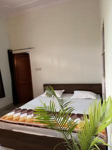 1BHK Villa In Jaipur