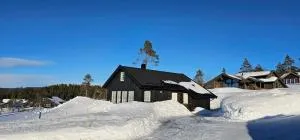 Cozy Cabin Retreat in Jaren, Norway - Private Entrance BBQ Area - Toverud