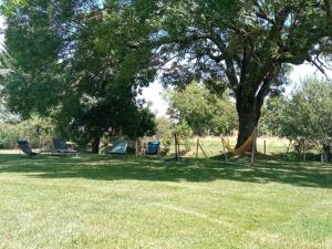 Maisons de vacances Gite - Relais de Soubeille - Nature - Comminges Pyrenees : photos des chambres