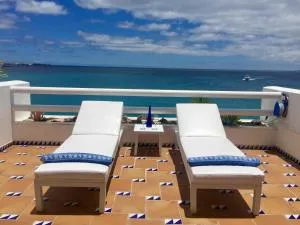 Caballito de mar seahorse - 普拉亚布兰卡