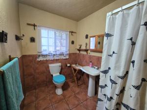 Rafikis Safari at Kruger