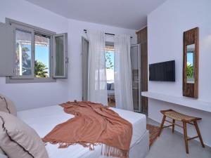 The bright and elegant Villa Akira